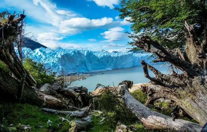 Glaciar Perito Moreno, El Calafate